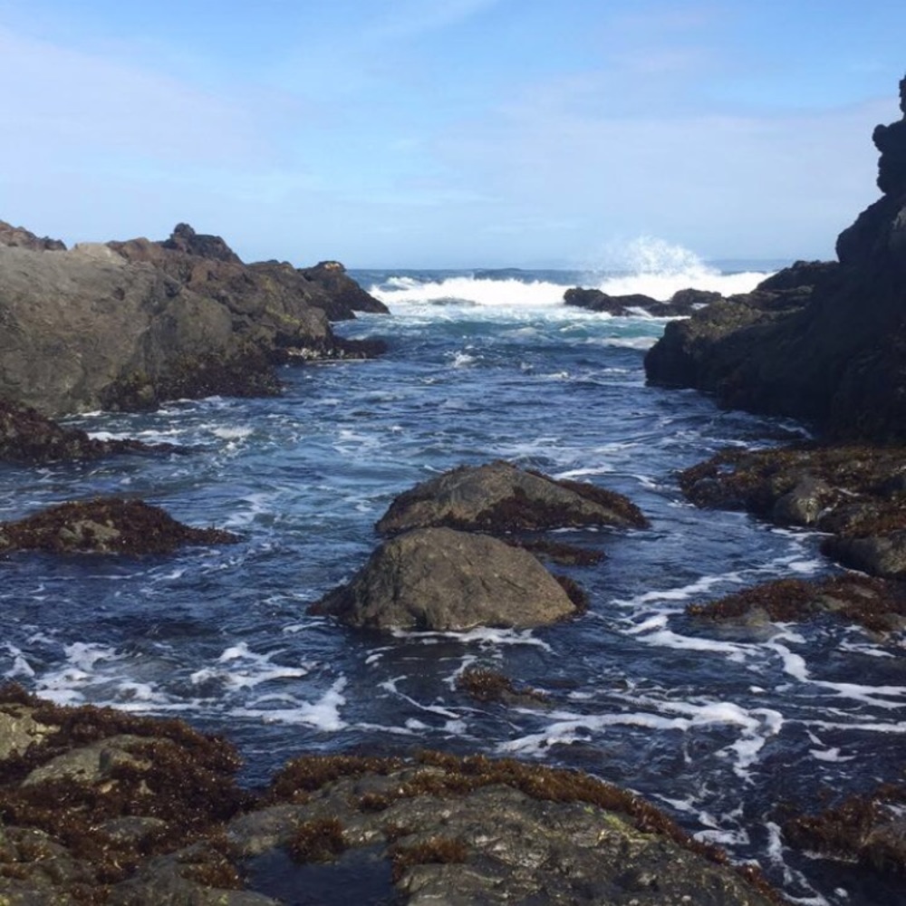 Meet your Posher, Grace